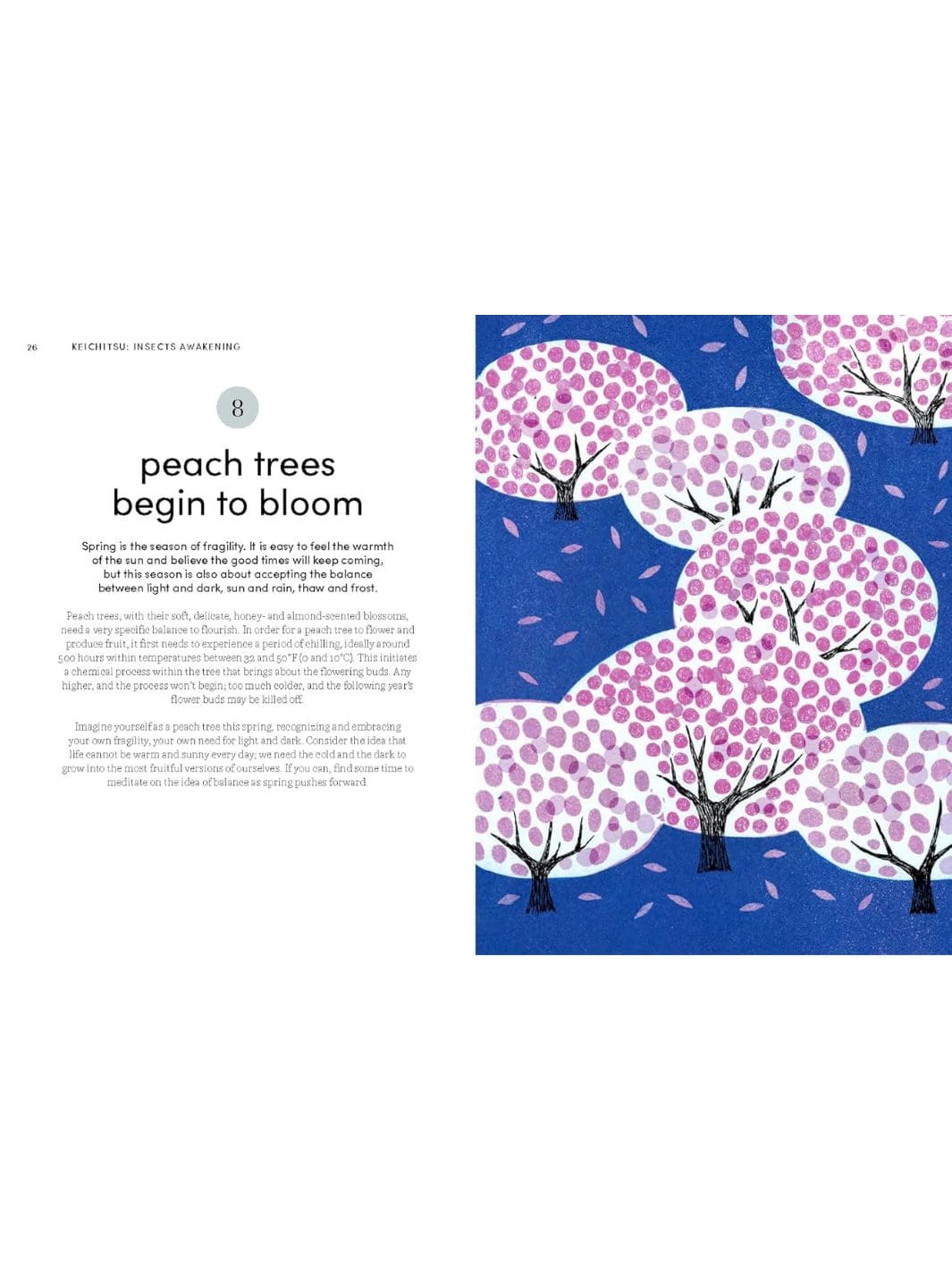 Microseasons by Tiffany Francis-Baker & Tamae Mizukami | Twentyseven Toronto