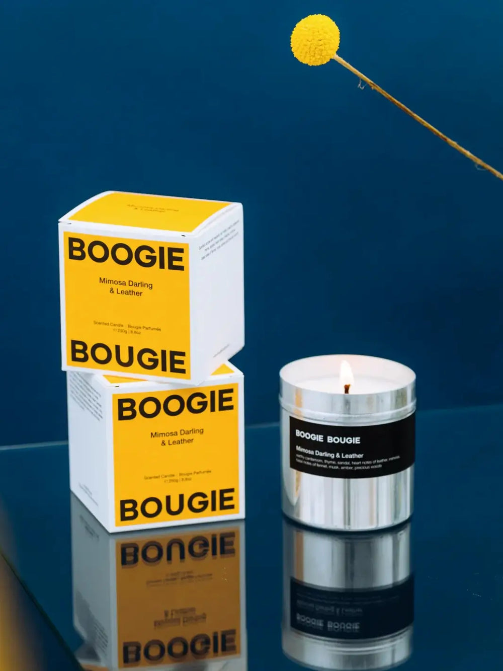 Two yellow Boogie Bougie candle boxes and tin Mimosa and Darling Leather Candle on a reflective surface with a blue background | Twentyseven Toronto