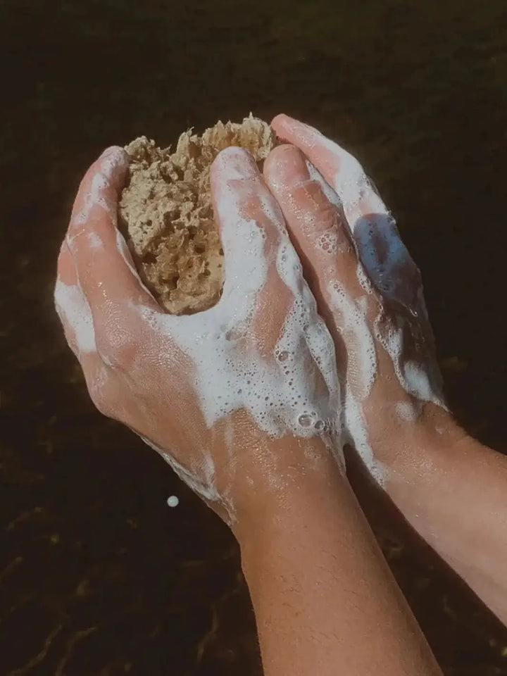 Two hands covered in white, soapy suds hold a textured natural sponge while using Bathing Culture Mind & Body Wash - Meadow Vision | Twentyseven Toronto
