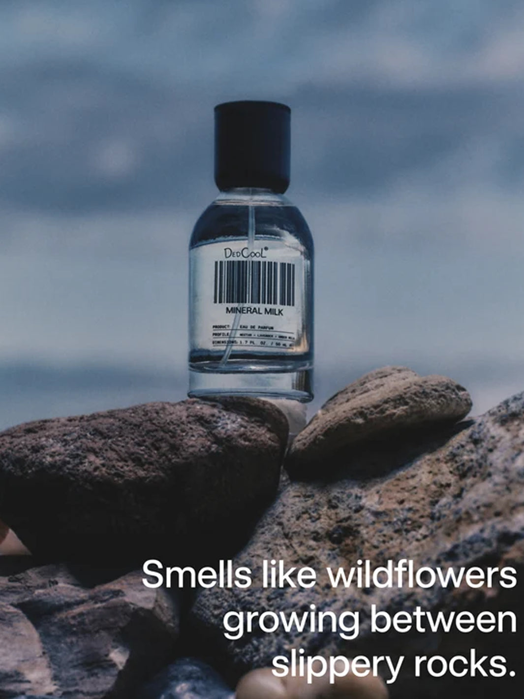 DedCool Mineral Milk Eau de Parfum displayed on coastal rocks with the ocean in the background | Twentyseven Toronto