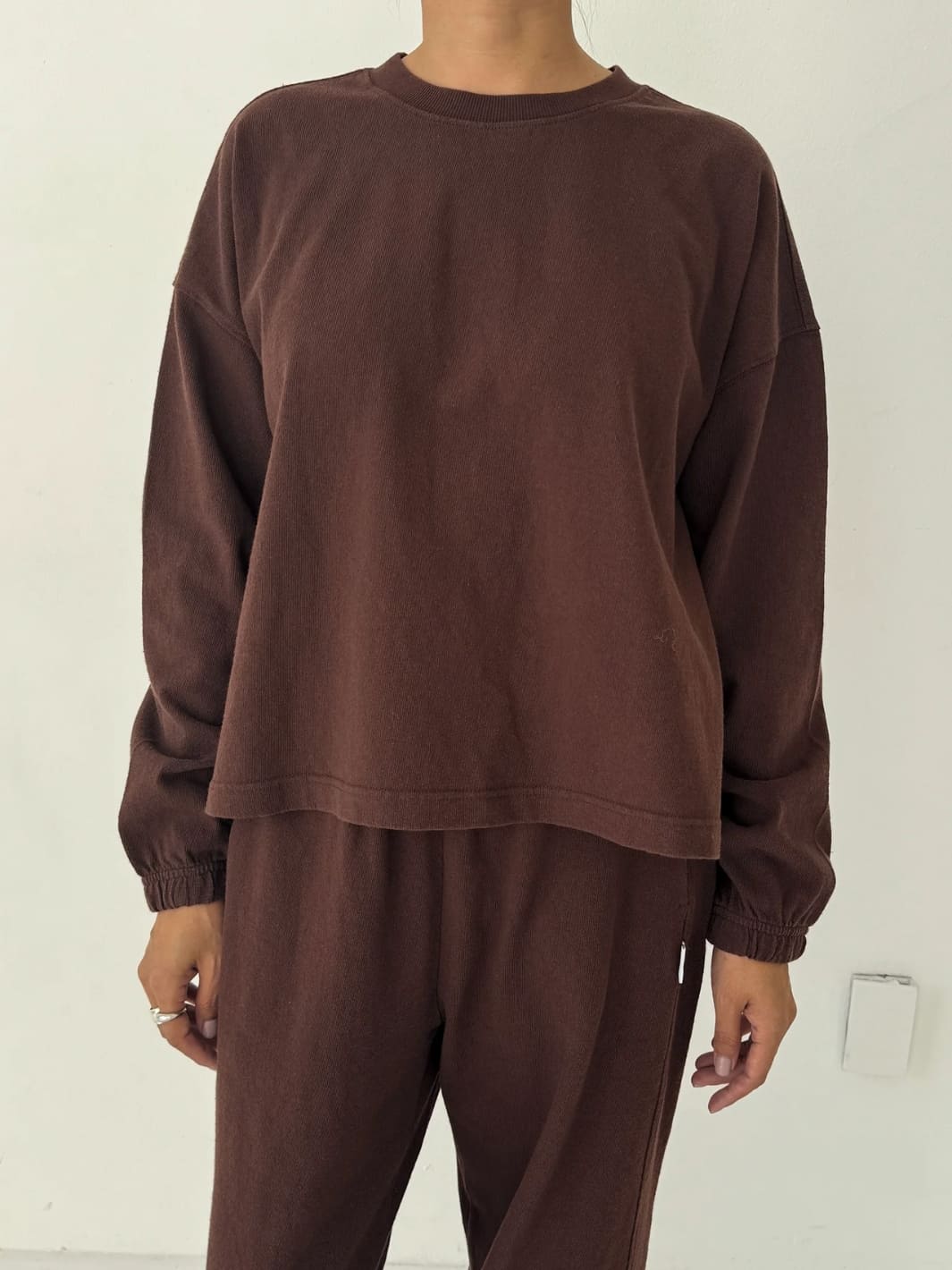 Le Bon Shoppe Naturelle Long Sleeve Tee in Chestnut | Twentyseven Toronto