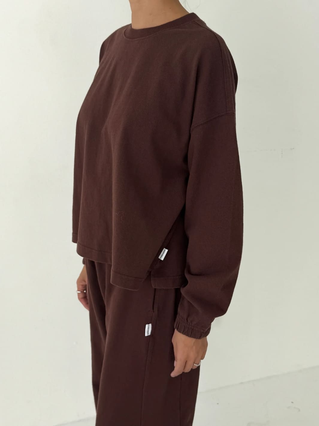 Le Bon Shoppe Naturelle Long Sleeve Tee in Chestnut | Twentyseven Toronto