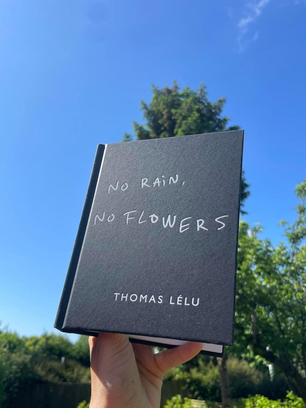 No Rain, No Flowers by Thomas Lélu | Twentyseven Toronto