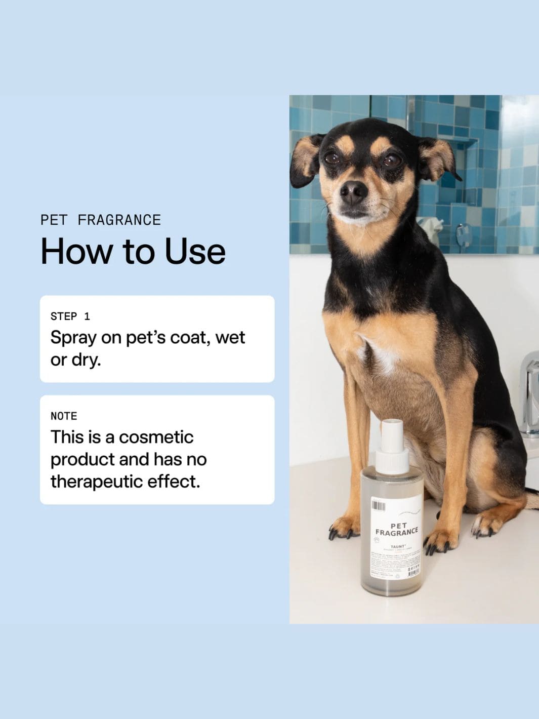 Dedcool Pet Fragrance 01 "Taunt" | Twentyseven Toronto