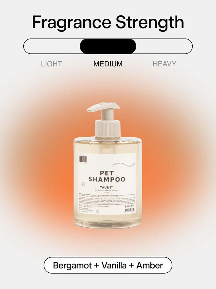 Dedcool Mini Pet Shampoo 01 "Taunt" | 16.9oz | Twentyseven Toronto
