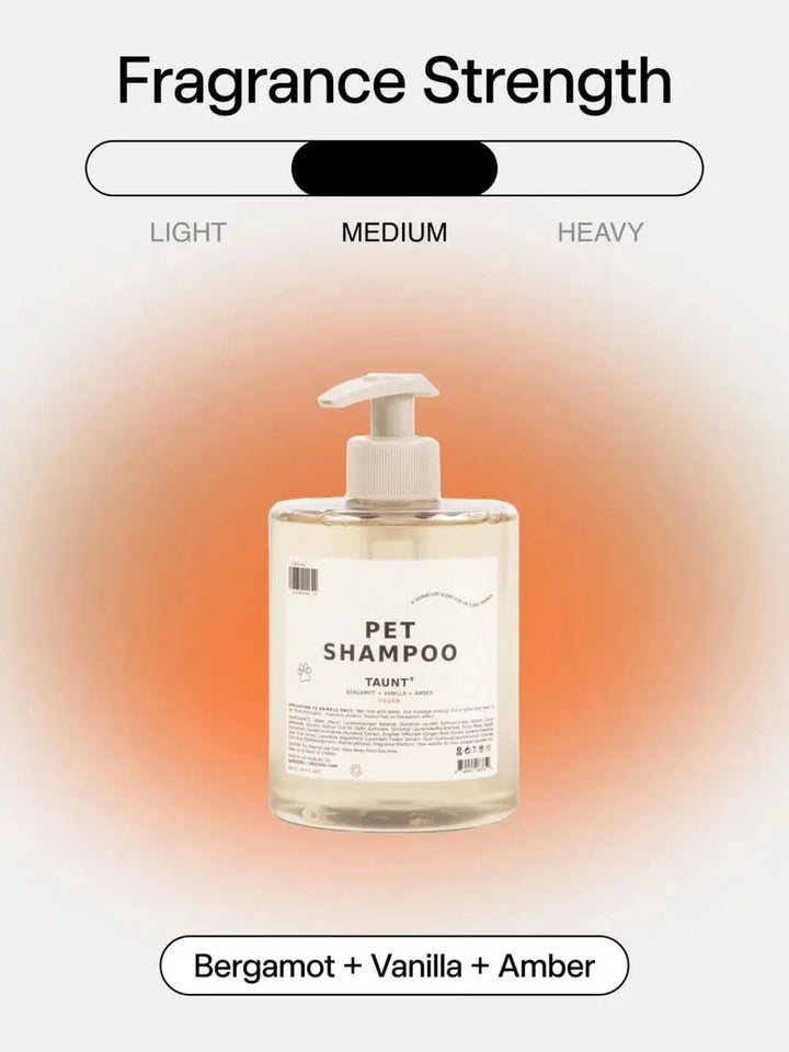 Bottle of Dedcool Pet Shampoo 01 "Taunt" centered against a warm gradient background showing fragrance strength notes of bergamot, vanilla, and amber | Twentyseven