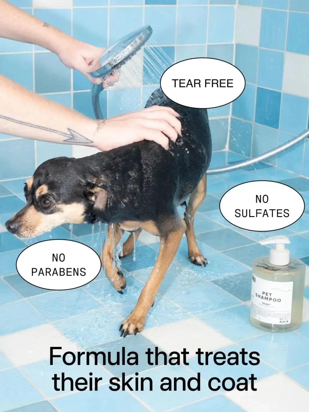 A small black and tan dog being washed with a shower sprayer next to a bottle of Dedcool Pet Shampoo 01 "Taunt" in a blue tiled bathroom | Twentyseven
