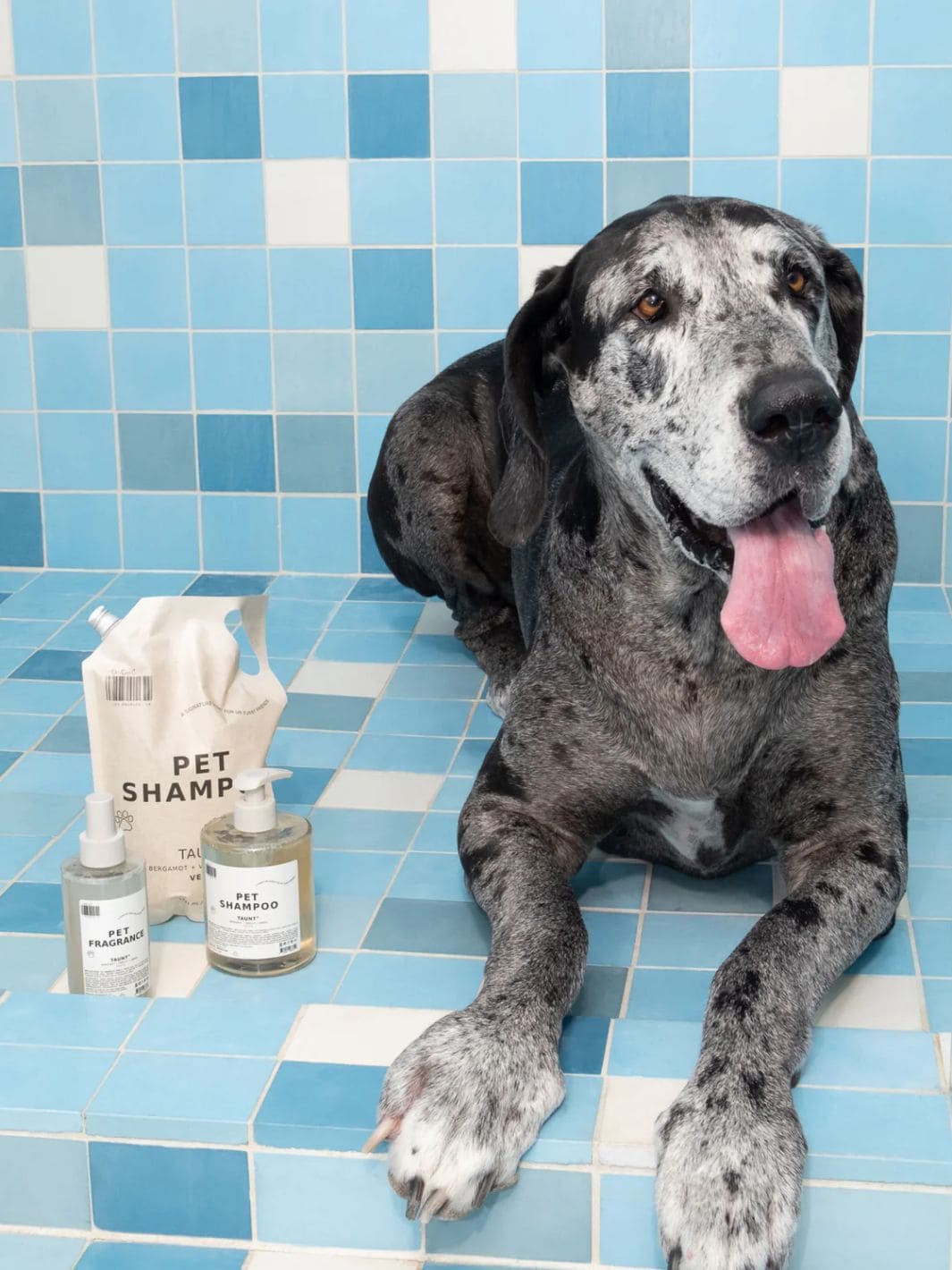 Dedcool Mini Pet Shampoo 01 "Taunt" | 16.9oz | Twentyseven Toronto