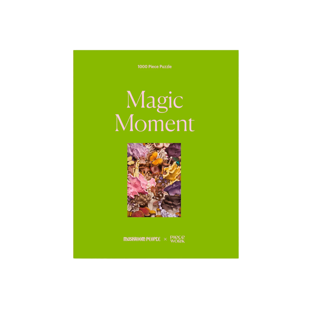 Twentyseven Toronto - Piecework Puzzles Magic Moment 1000 Piece Puzzle