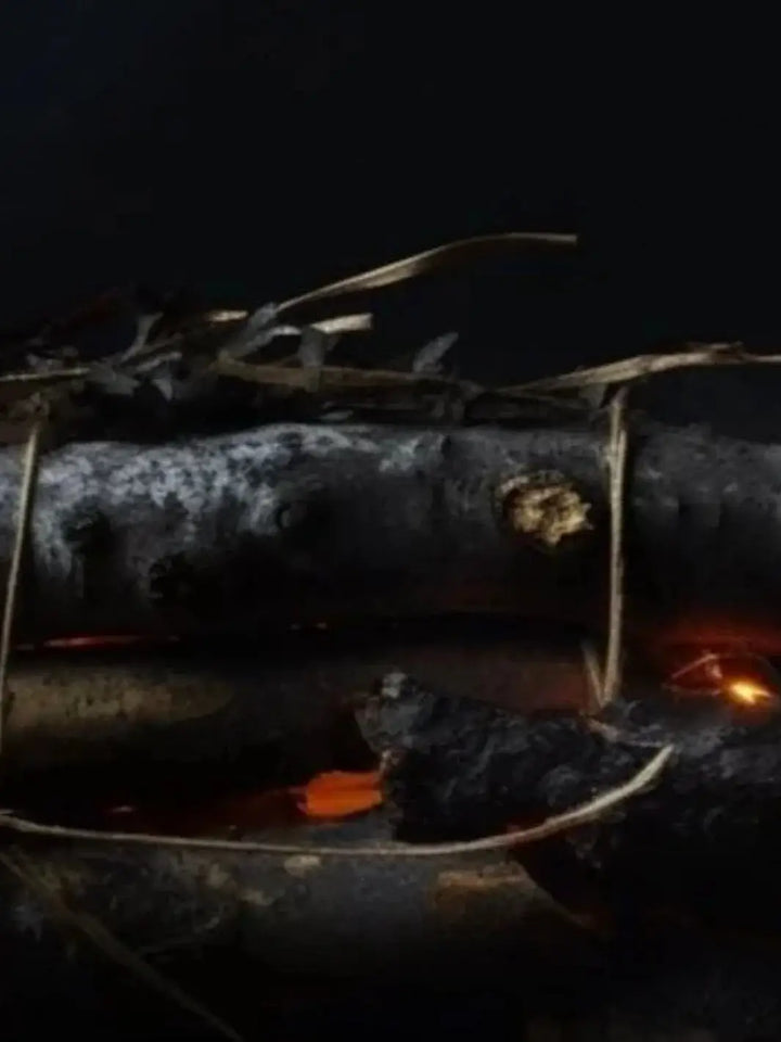 An atmospheric close-up depicts charred wooden logs tied together with twine over glowing orange embers, capturing the scent inspiration for the Adlan Fragrances Playing with Fire in Petite candle | Twentyseven Toronto