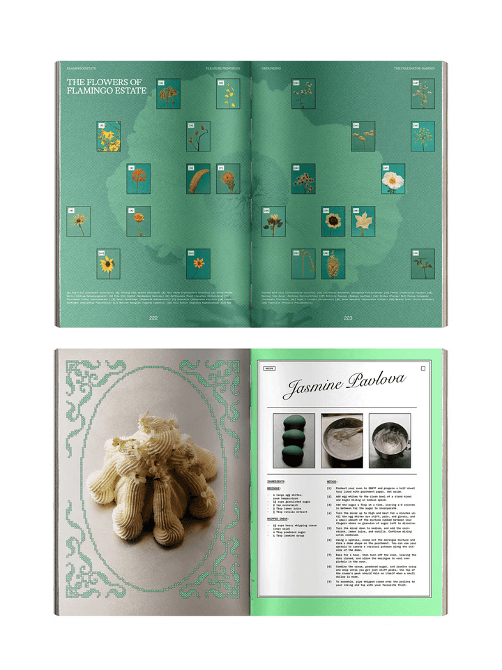 Open pages from Flamingo Estate Pleasure Principles featuring a visual guide to Flamingo Estate flowers and an illustrated Jasmine Pavlova recipe | Twentyseven Toronto