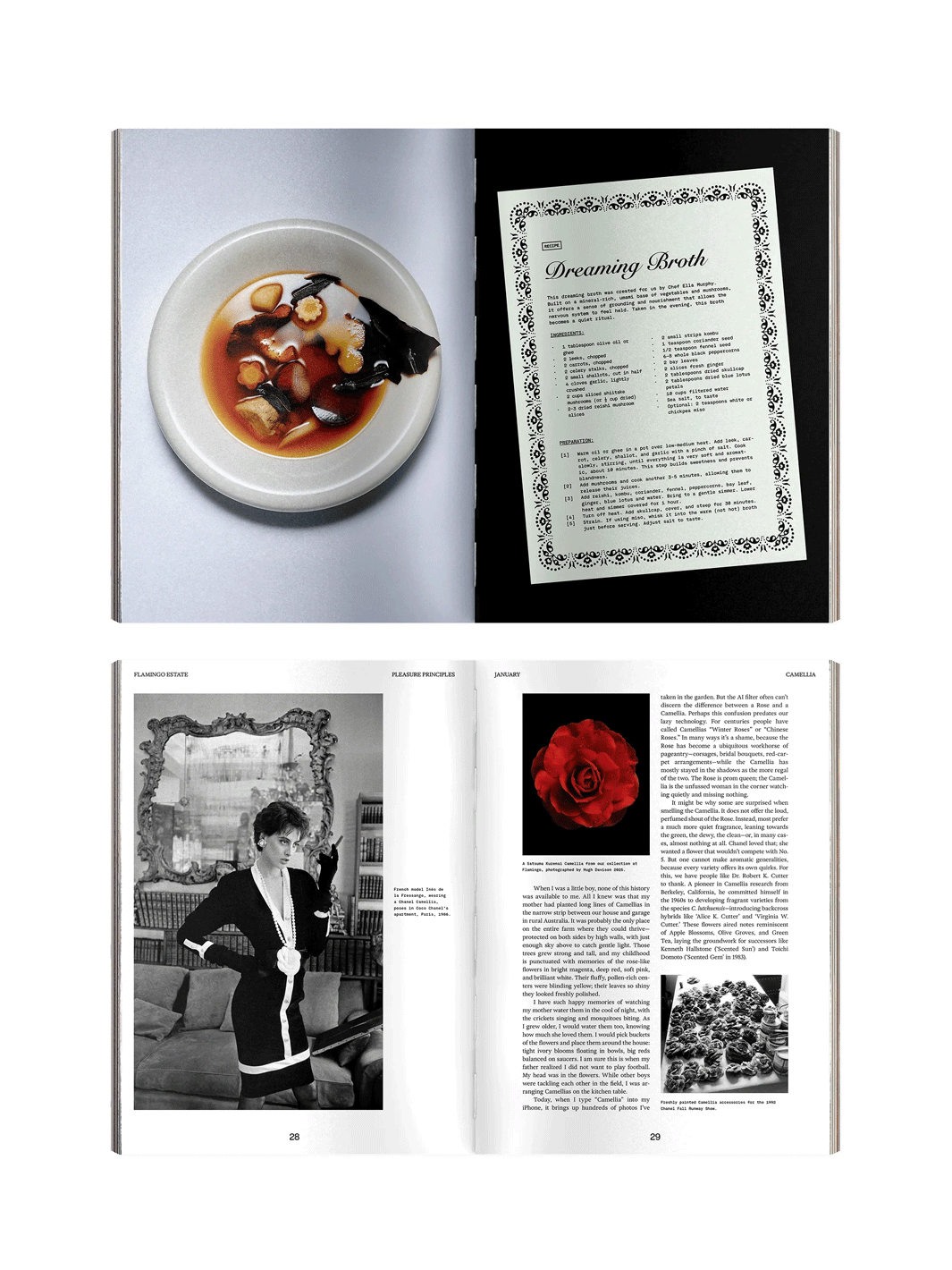 Open pages from Flamingo Estate Pleasure Principles featuring a Dreaming Broth recipe, botanical storytelling, archival photography and a red camellia | Twentyseven Toronto