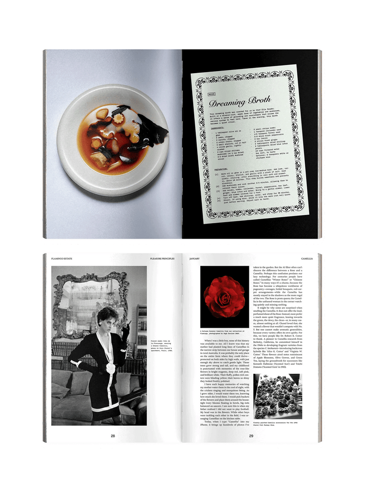 Open pages from Flamingo Estate Pleasure Principles featuring a Dreaming Broth recipe, botanical storytelling, archival photography and a red camellia | Twentyseven Toronto
