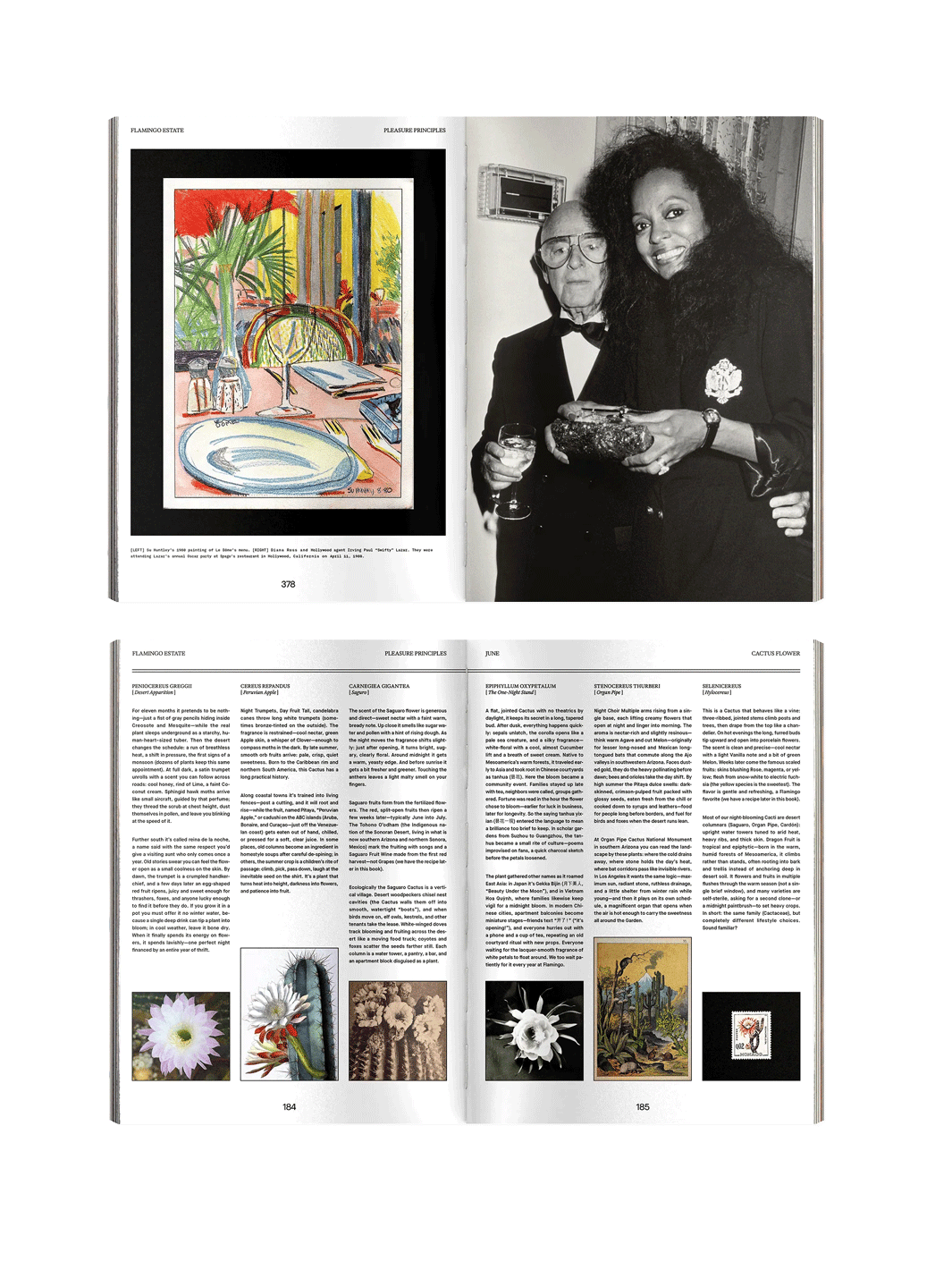 Open pages from Flamingo Estate Pleasure Principles featuring archival photography, colourful artwork and an illustrated guide to cactus flowers | Twentyseven Toronto
