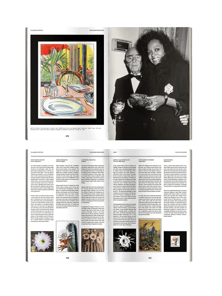 Open pages from Flamingo Estate Pleasure Principles featuring archival photography, colourful artwork and an illustrated guide to cactus flowers | Twentyseven Toronto