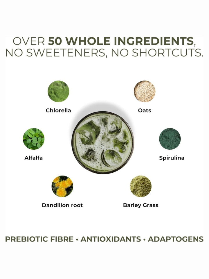Rivex Wellness Prebiotic Greens | Twentyseven Toronto