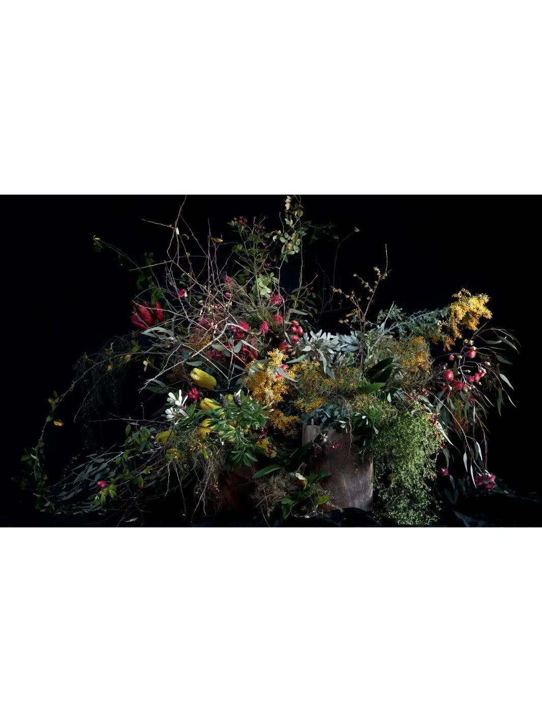 Full-spread photograph of a wild, large-scale floral installation against a dark background from Pretty Dirty: The Life of Flowers, From Creation to Compost by Melanie Stapleton | Twentyseven Toronto