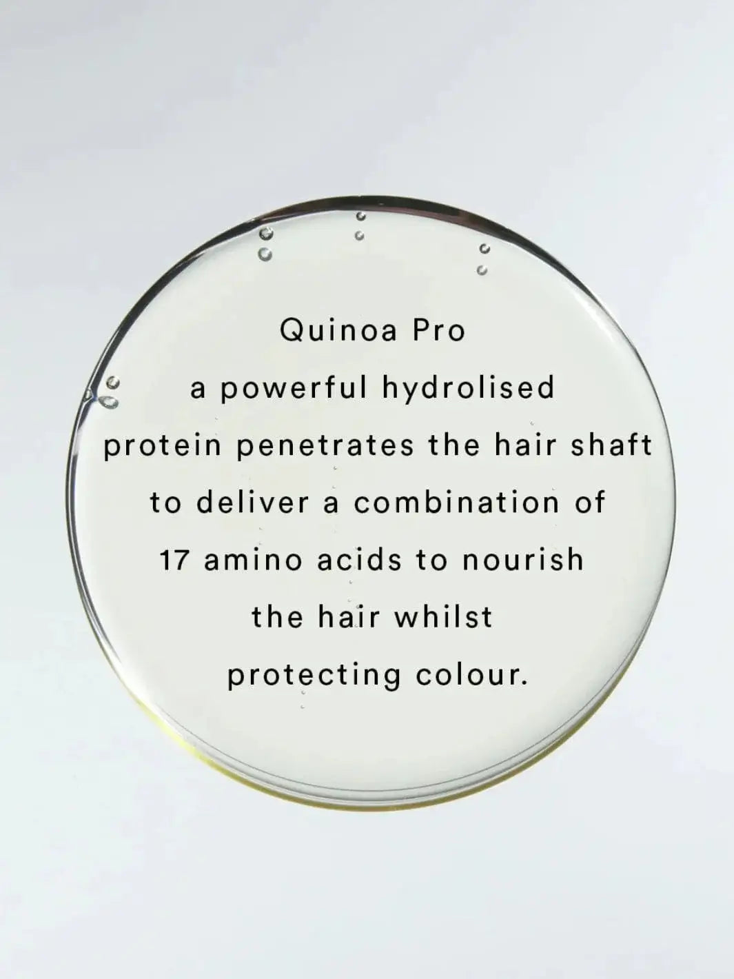 Black text layered over a large, clear droplet explains how Quinoa Pro protein in Hair by Sam McKnight Rich Cleanse Nourishing Shampoo helps protect color and nourish the hair shaft | Twentyseven Toronto