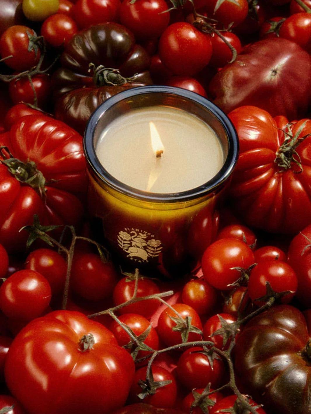 Flamingo Estate Roma Heirloom Tomato Candle | Twentyseven Toronto