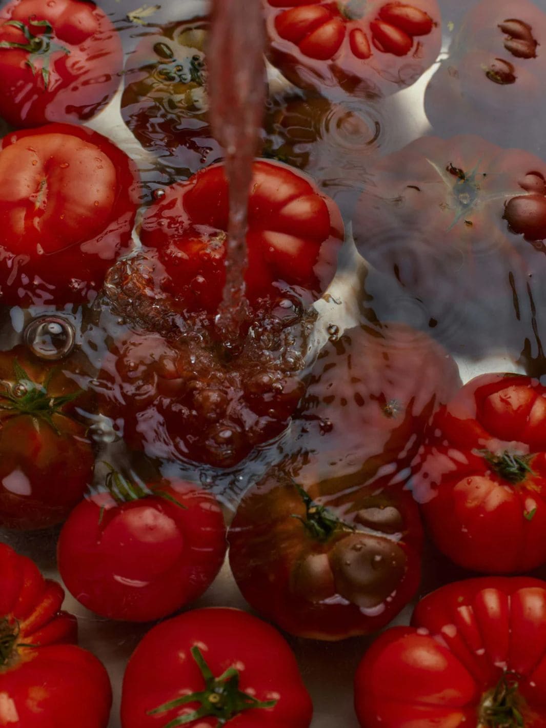 Flamingo Estate Roma Heirloom Tomato Hand Soap | 12 oz, 355ml | Twentyseven Toronto