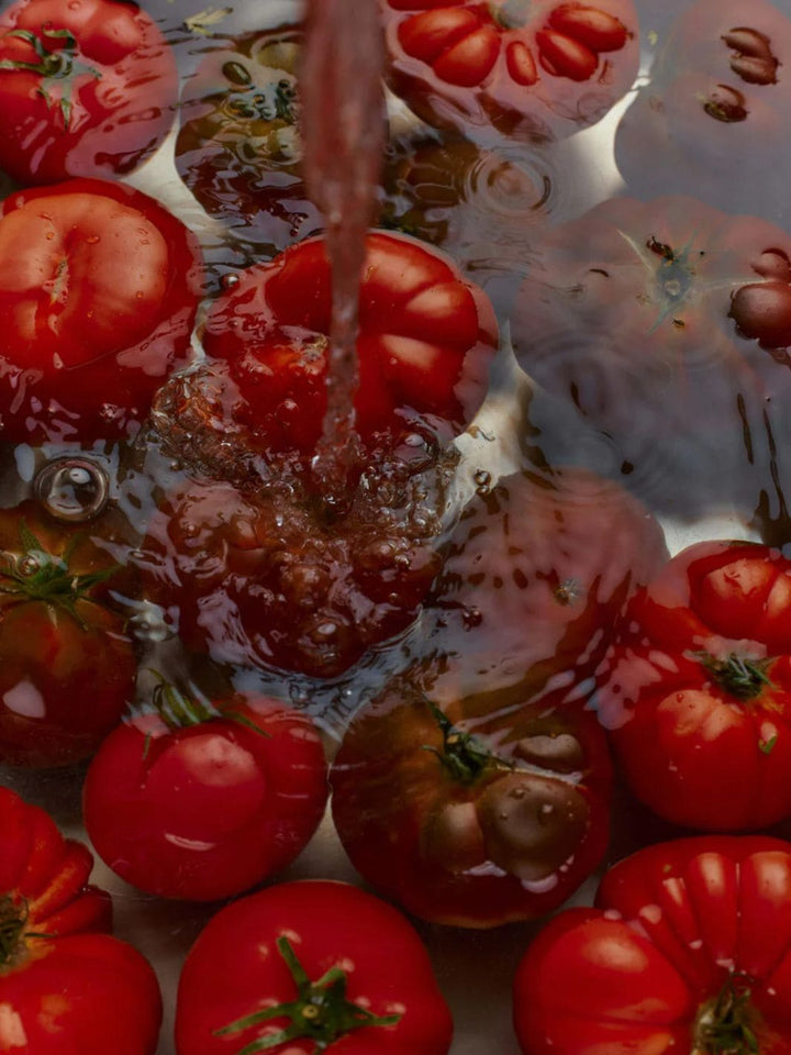 Flamingo Estate Roma Heirloom Tomato Hand Soap | 12 oz, 355ml | Twentyseven Toronto