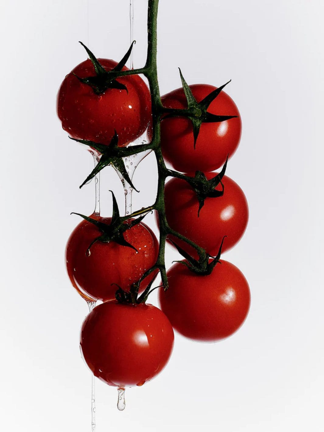 Flamingo Estate Roma Heirloom Tomato Hand Soap | 12 oz, 355ml | Twentyseven Toronto