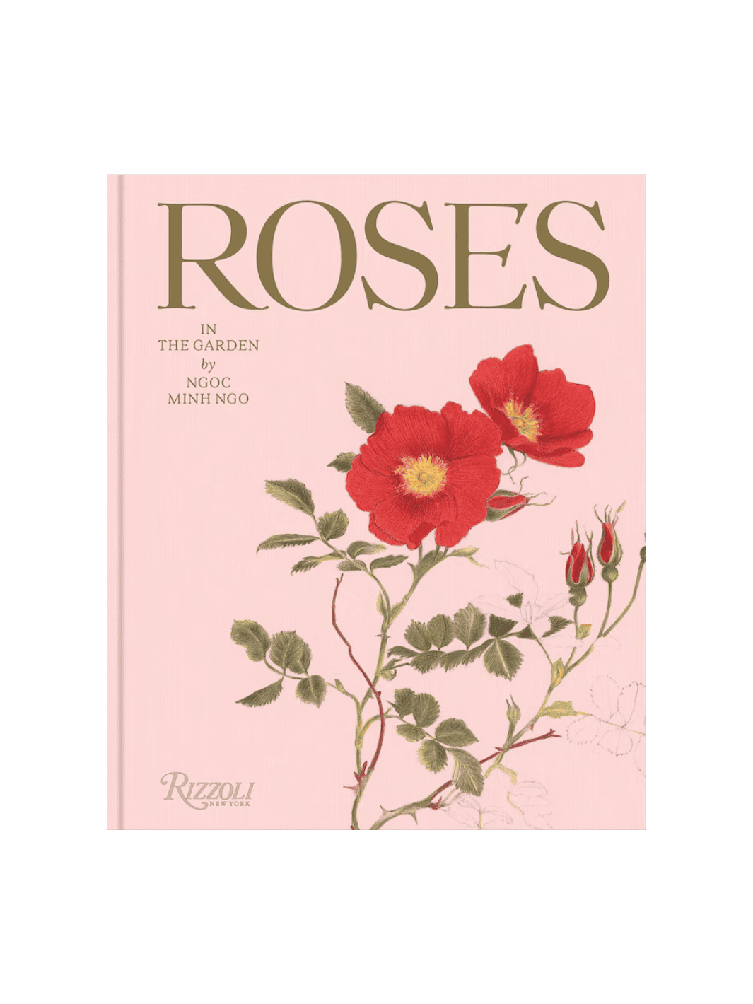 Roses in the Garden by Ngoc Minh Ngo | Twentyseven Toronto
