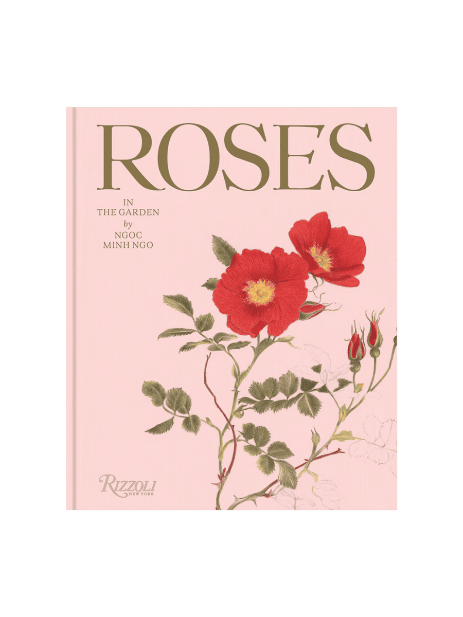 Roses in the Garden by Ngoc Minh Ngo | Twentyseven Toronto