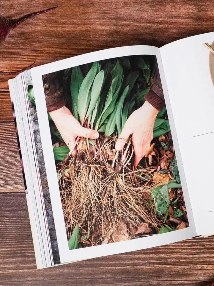Full-page image from Ruffage: A Practical Guide to Vegetables by by Abra Berens showing a person's hands holding a large bundle of freshly harvested ramps, with their long green leaves and root systems displayed | Twentyseven Toronto