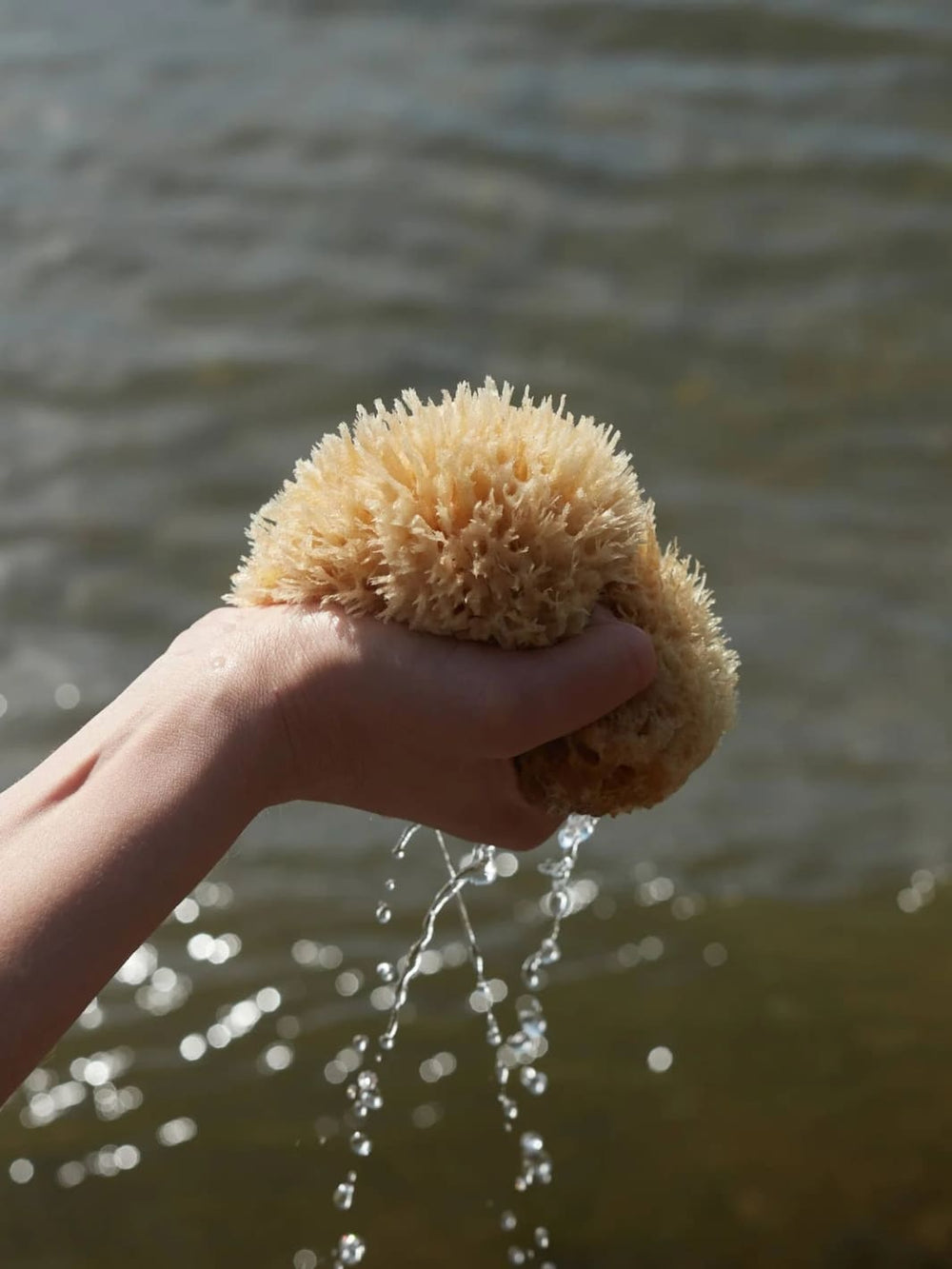 Keep Well Kept Sea Sponge - Medium | Twentyseven Toronto