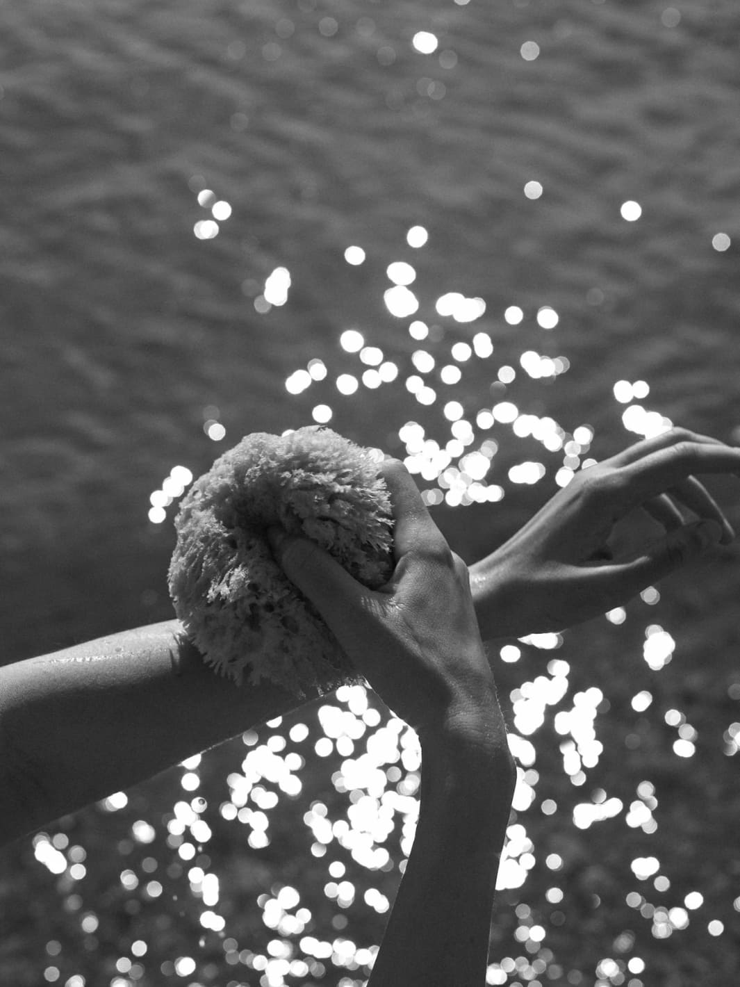 Keep Well Kept Sea Sponge - Medium | Twentyseven Toronto