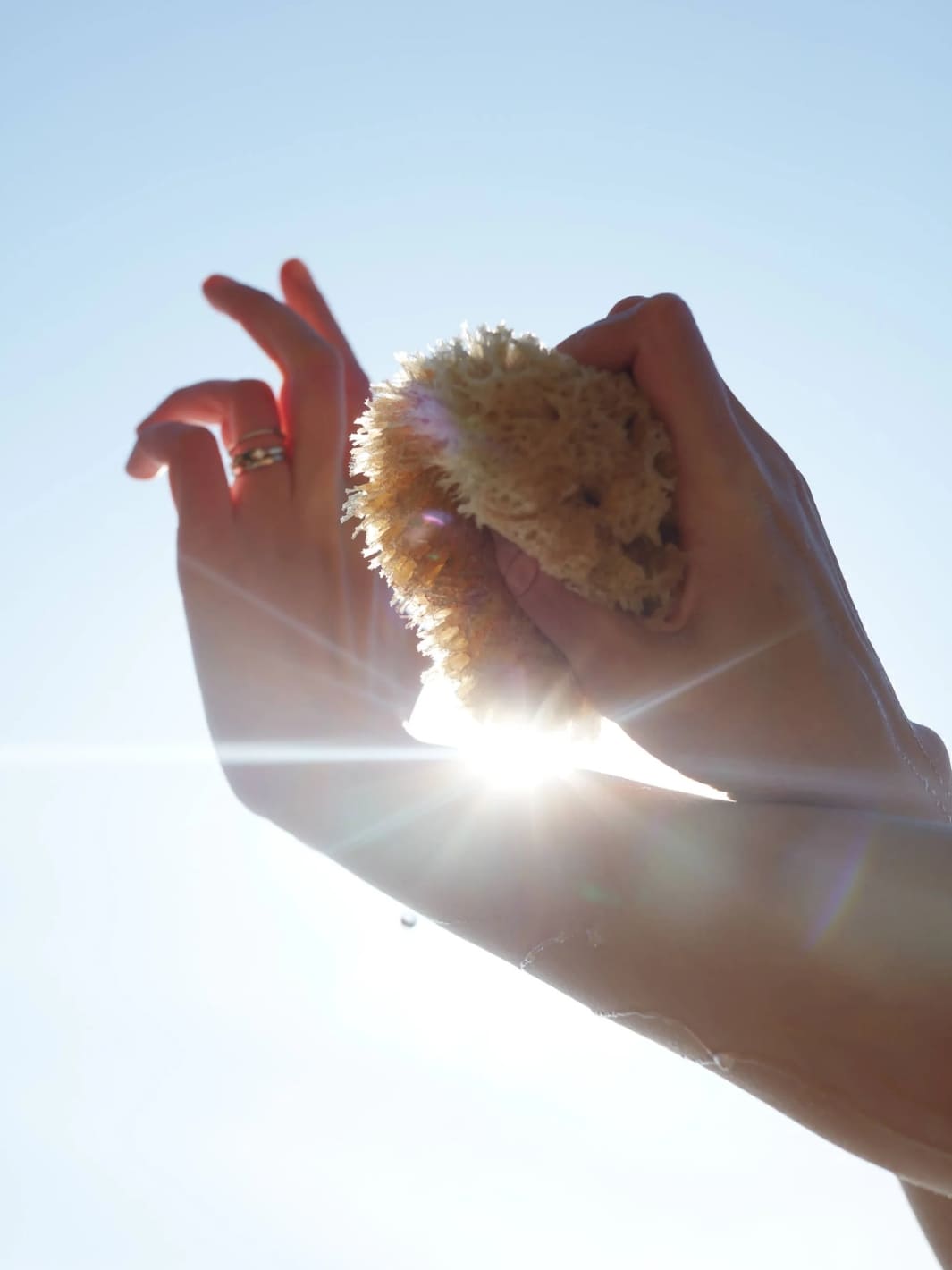 Keep Well Kept Sea Sponge - Medium | Twentyseven Toronto