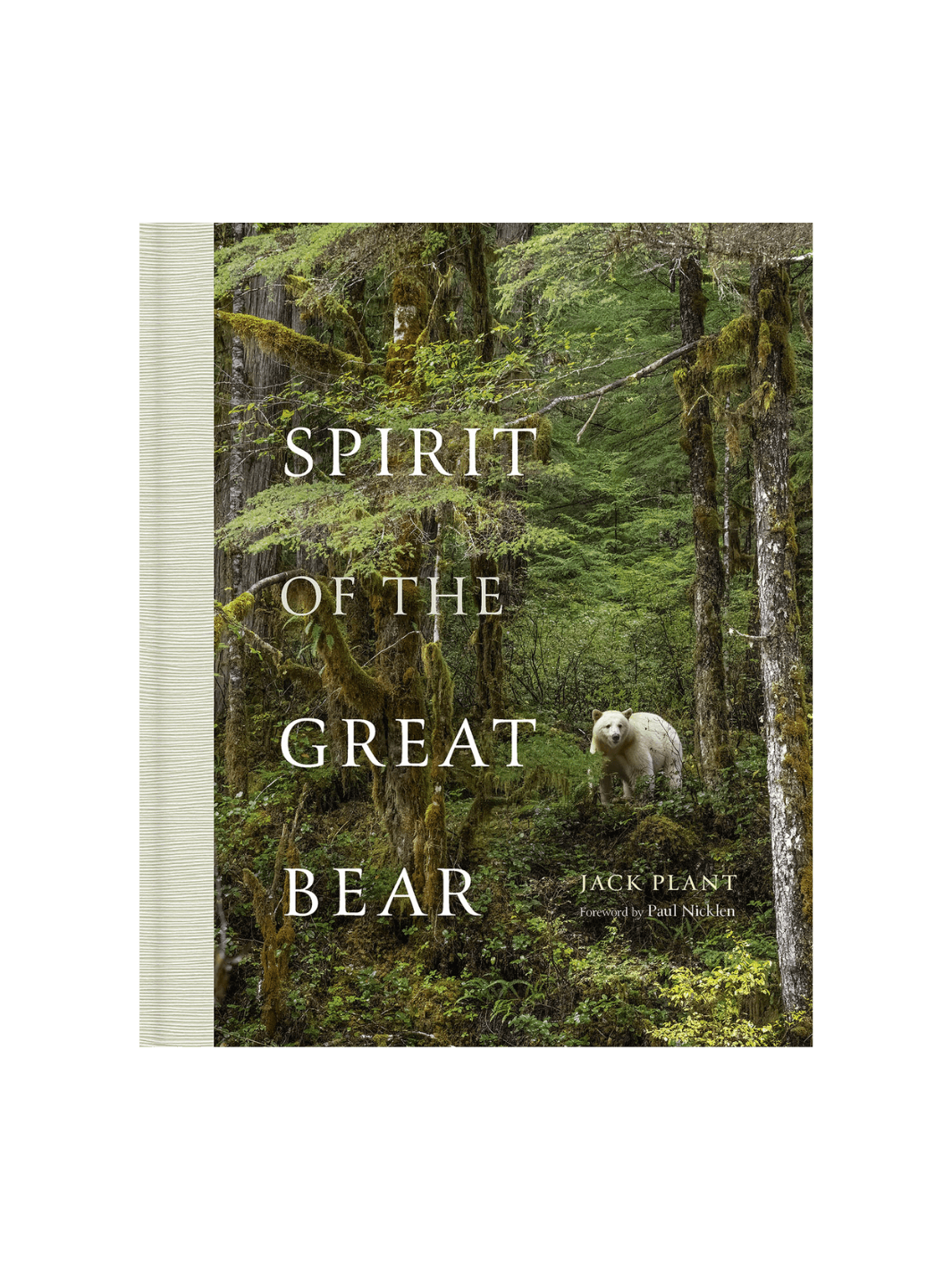 The cover of Spirit of the Great Bear by Jack Plant, featuring a white Spirit Bear standing in a mossy, old-growth rainforest | Twentyseven Toronto