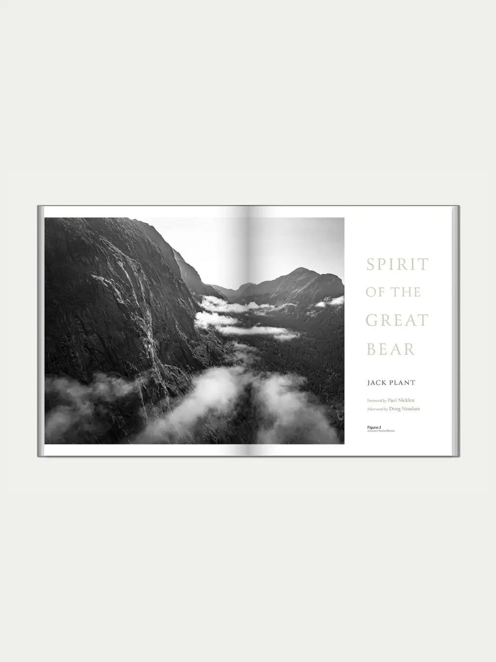 A black-and-white aerial photograph of a misty, forested mountain valley with the book title 'Spirit of the Great Bear' by Jack Plant on the facing page | Twentyseven Toronto