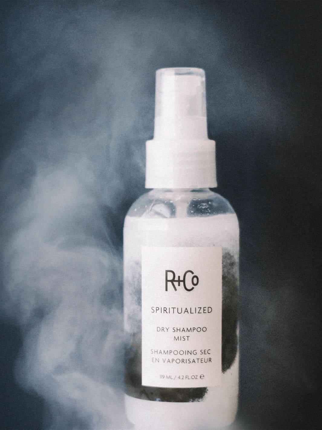 R+Co SPIRITUALIZED Wet Dry Shampoo Full Size 119ml | Twentyseven Toronto
