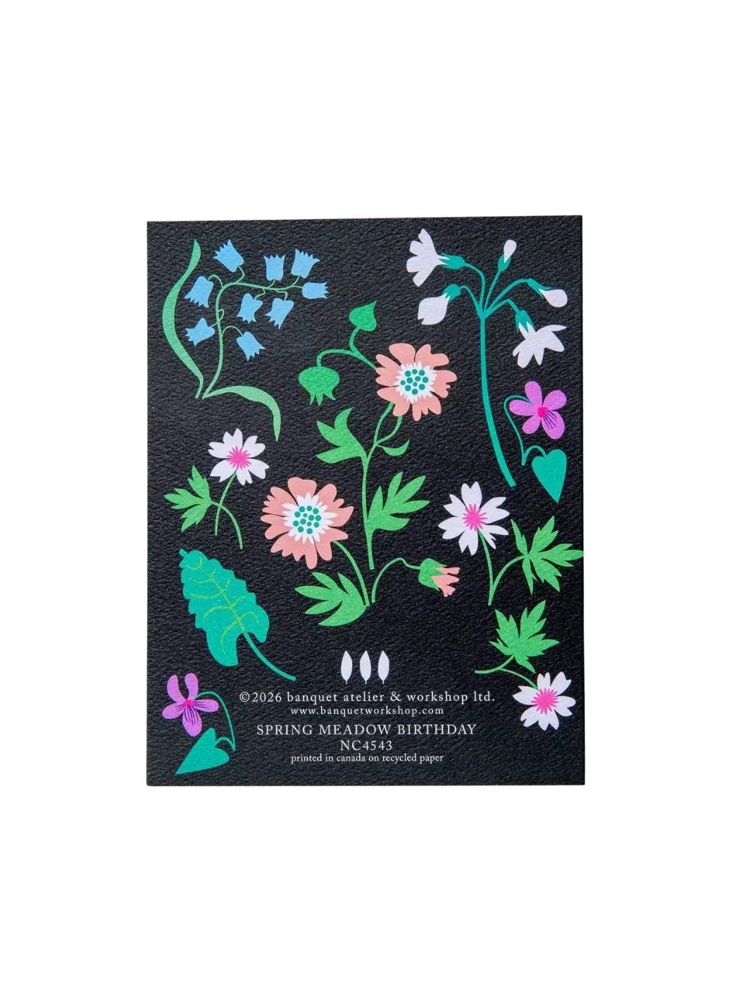 The back of the Banquet Workshop Spring Meadow Happy Birthday Note Card features a continuation of the colourful wildflower design on a black background with printed product and brand details at the bottom | Twentyseven