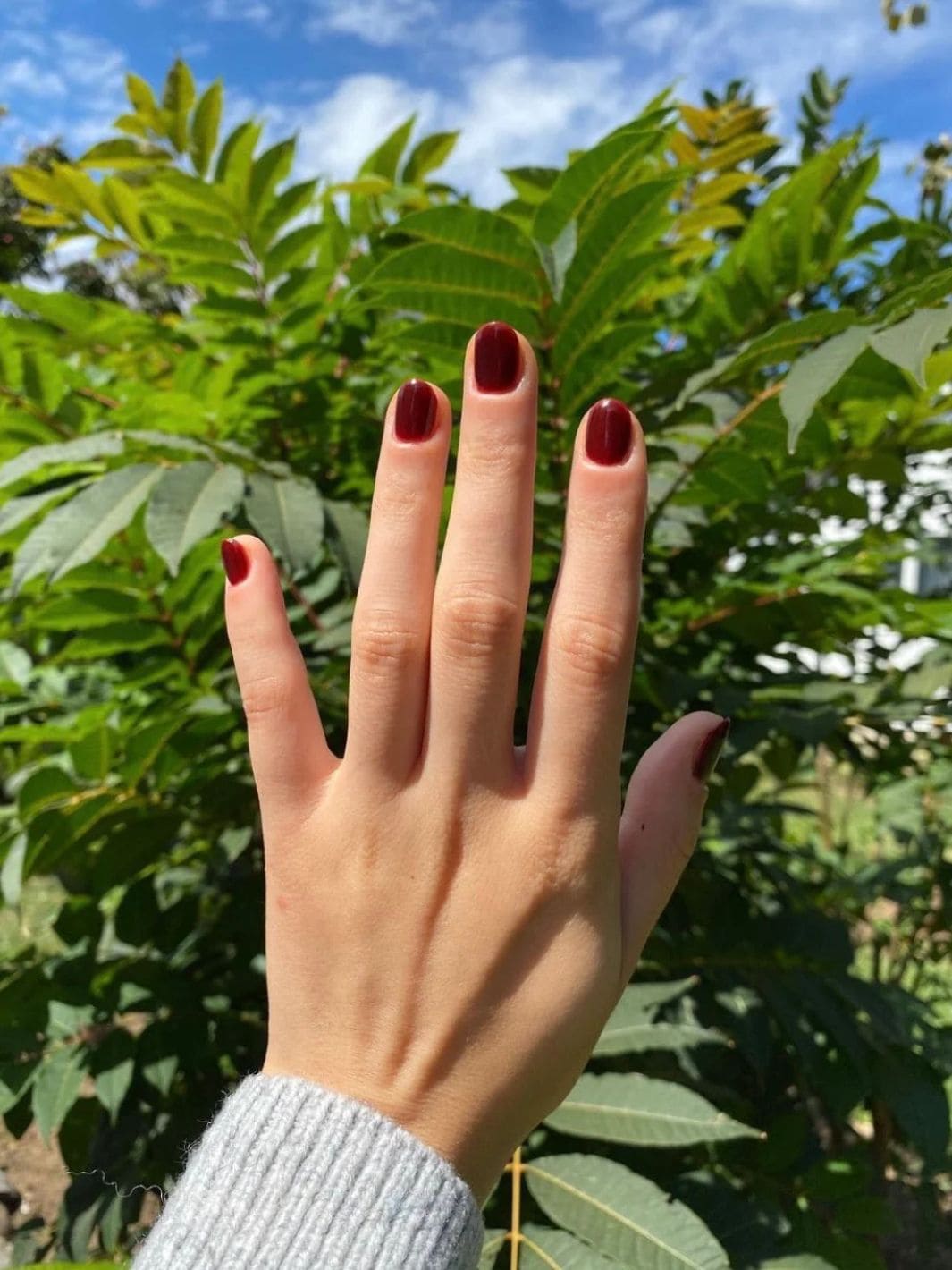 Death Valley Nails Swamp Sparrow Nail Polish | Twentyseven Toronto