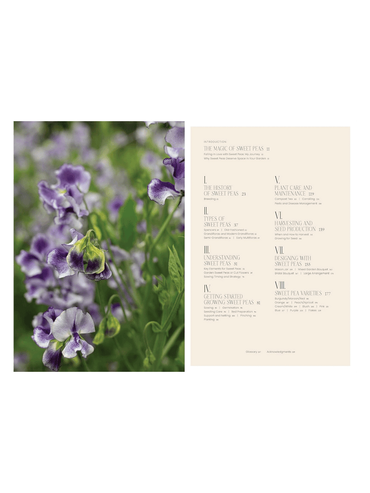 Sweet Pea School