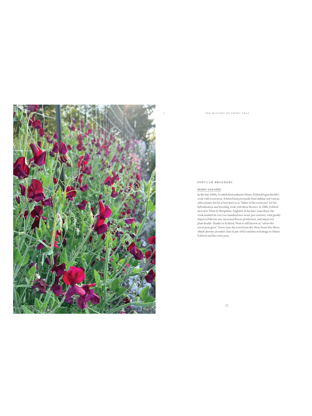 A printed page featuring a photograph of red flowers growing along a trellis on the left, with small caption text on the right on a white background | Twentyseven Toronto