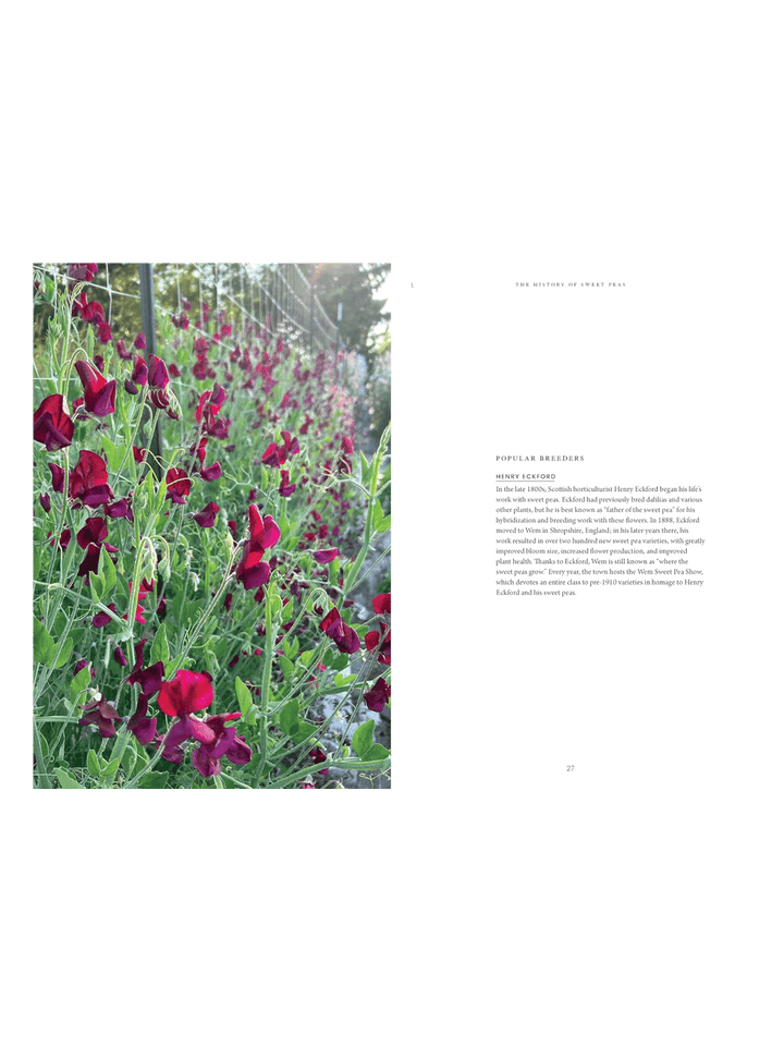 A printed page featuring a photograph of red flowers growing along a trellis on the left, with small caption text on the right on a white background | Twentyseven Toronto