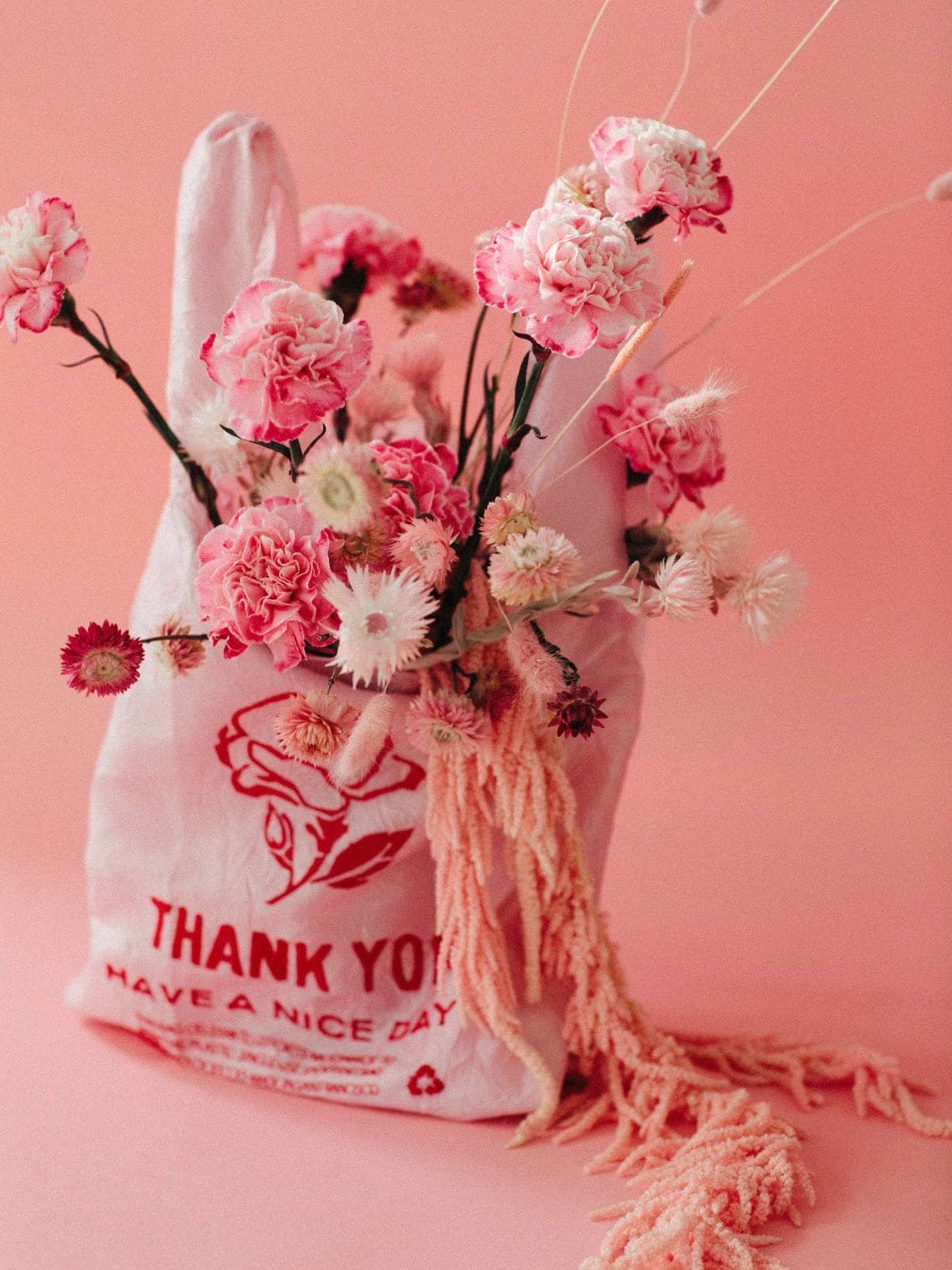 Open Editions Thank You Tote - Rose on Pink by Lauren DiCioccio | Twentyseven Toronto