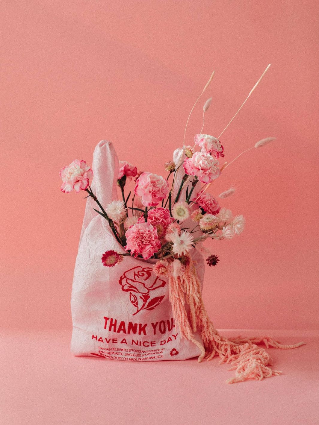 Open Editions Thank You Tote - Rose on Pink by Lauren DiCioccio | Twentyseven Toronto