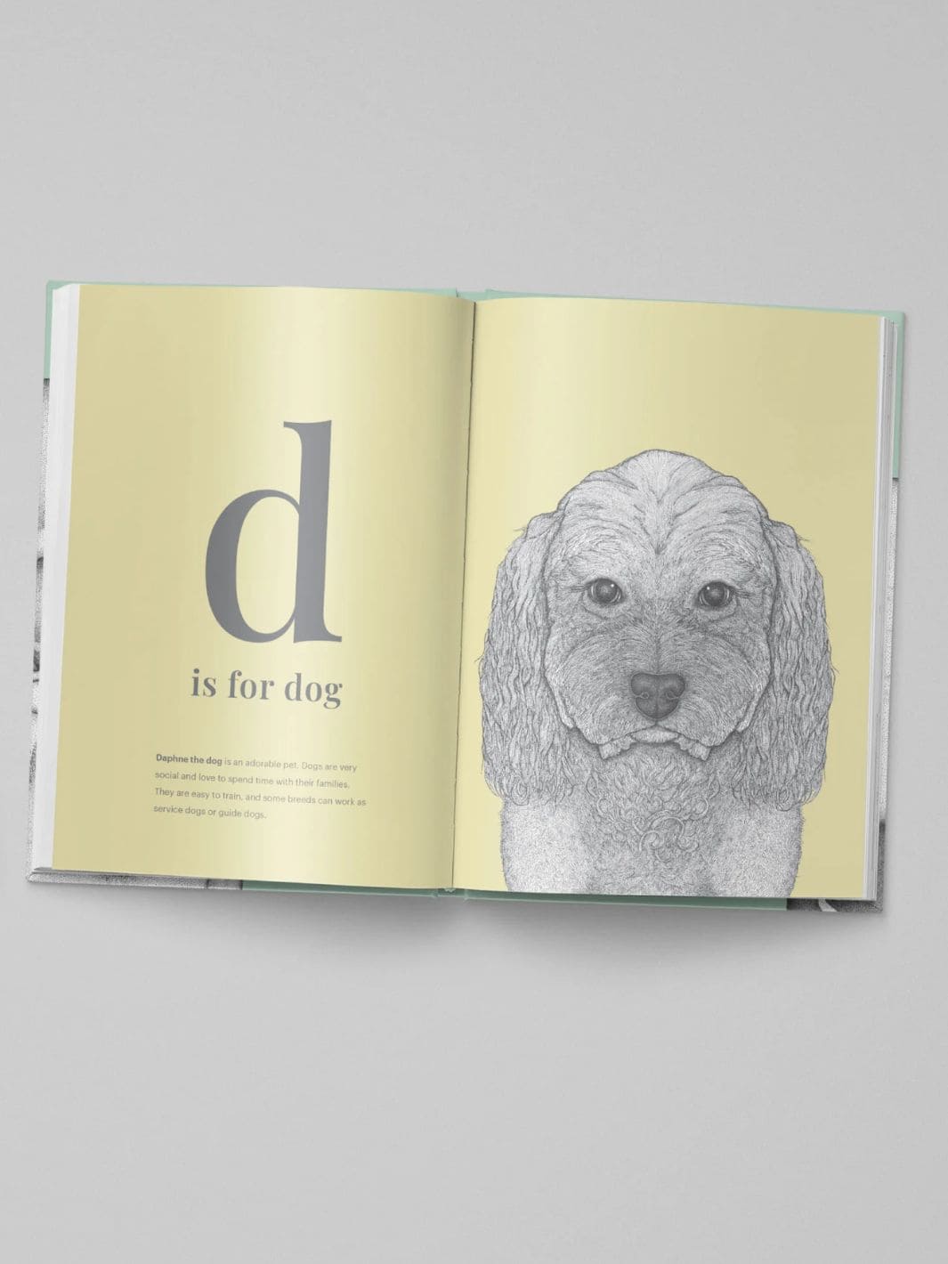 The Animal Alphabet by Dots by Donna | Twentyseven Toronto