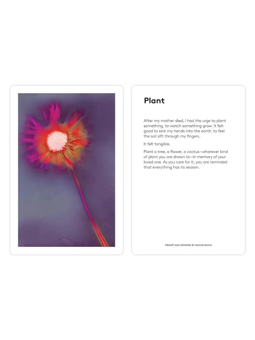 A card from The Grief Deck by Adriene Jenik titled "Plant" features an inspirational prompt about healing next to a striking abstract illustration of a vibrant, bursting pink flower on a long stem | Twentyseven Toronto