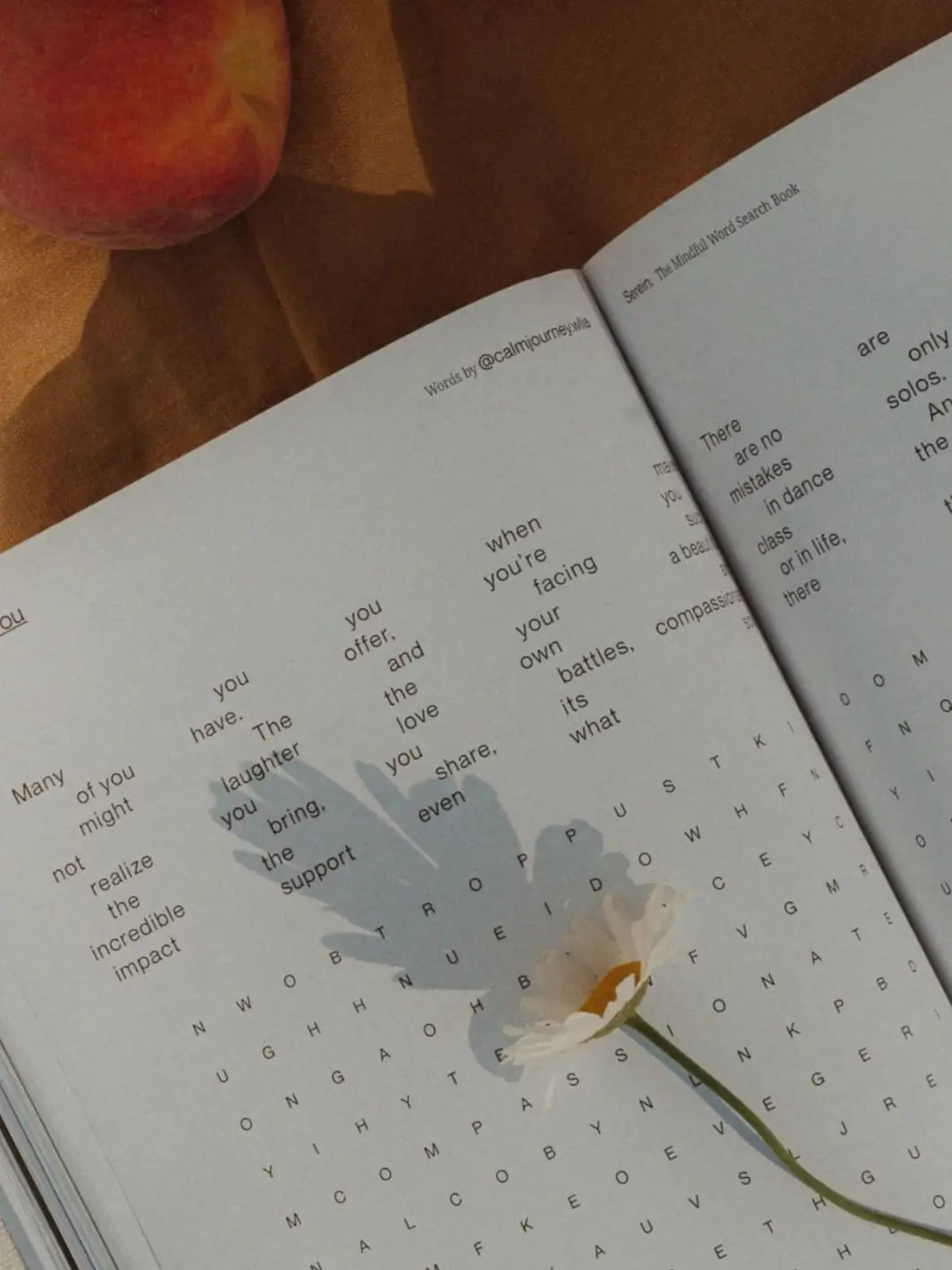 A single white daisy rests across an open page of Serein The Mindful Word Search Book next to a fresh peach | Twentyseven Toronto