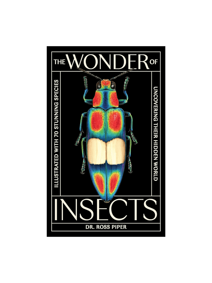 The front cover of The Wonder of Insects by Dr. Ross Piper, featuring a striking, iridescent multi-colored beetle against a solid black background | Twentyseven Toronto