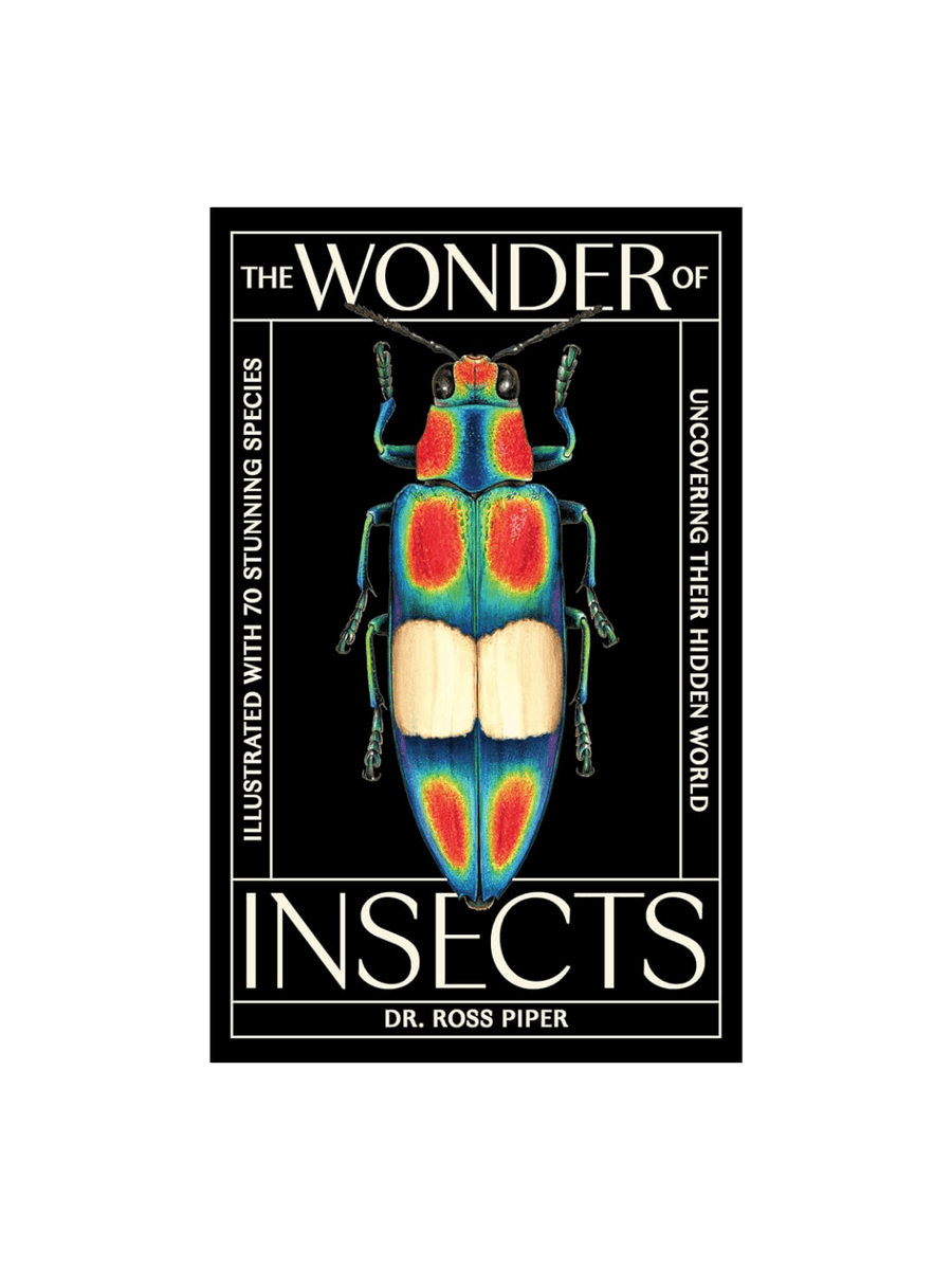 The front cover of The Wonder of Insects by Dr. Ross Piper, featuring a striking, iridescent multi-colored beetle against a solid black background | Twentyseven Toronto