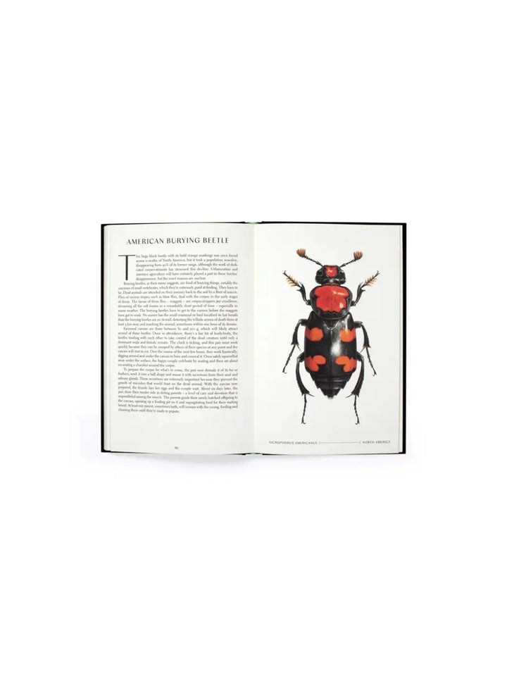 An open book spread showing a detailed scientific illustration of an American Burying Beetle from 'The Wonder of Insects' by Ross Piper | Twentyseven Toronto