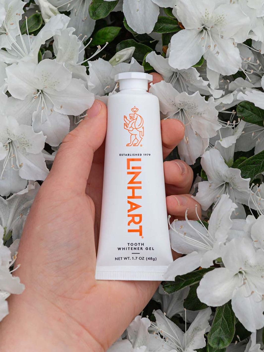 Linhart Tooth Whitener Gel | Twentyseven Toronto