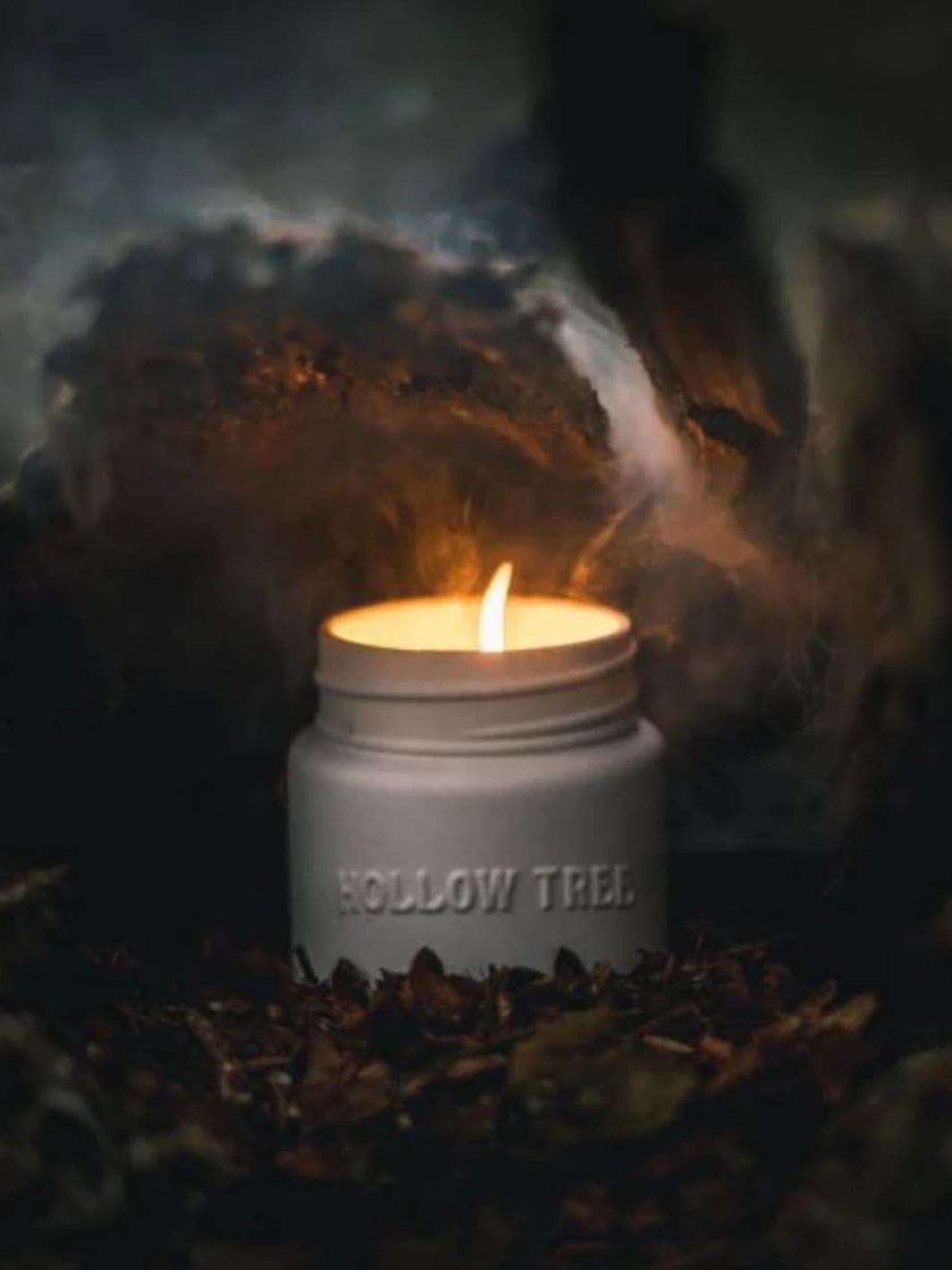 Hollow Tree Trails End Candle | Twentyseven Toronto